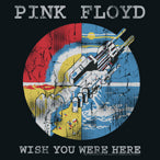 Pink Floyd: Wish You Were Here