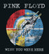 Pink Floyd: Wish You Were Here