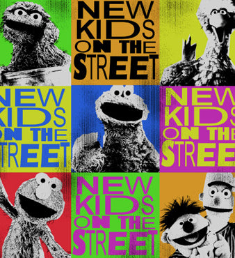 Sesame Street: New Kids On The Street