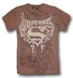 Superman: The Stone Shield