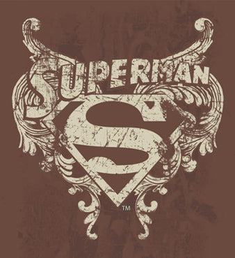 Superman: The Stone Shield