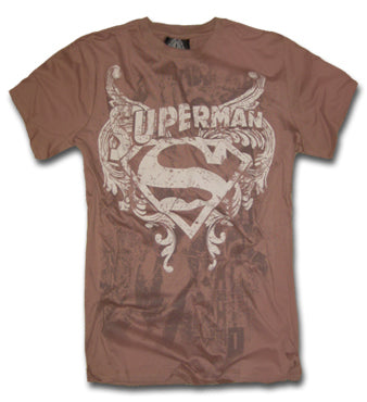 Superman: The Stone Shield