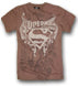 Superman: The Stone Shield