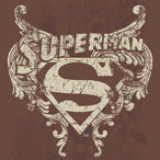 Superman: The Stone Shield